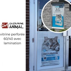 Lettrage de vitrine – Image 7