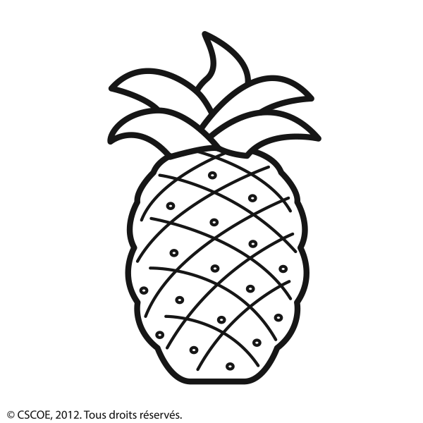 Ananas_NB