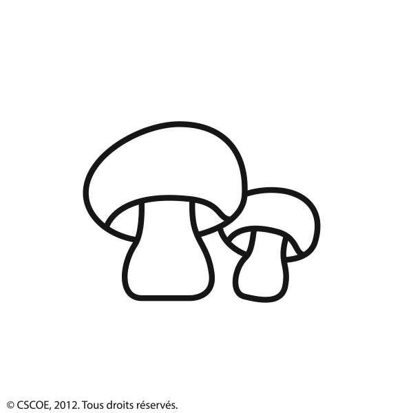 Champignon_NB