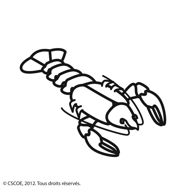 Homard_NB