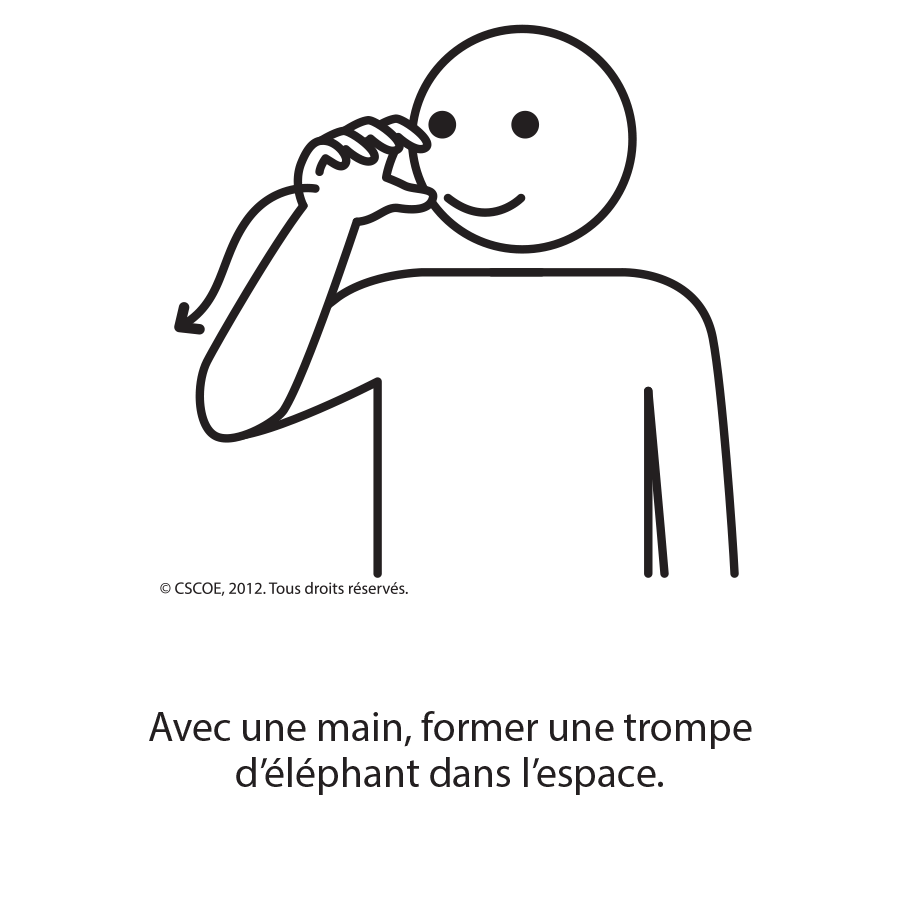 Éléphant_txt_NB