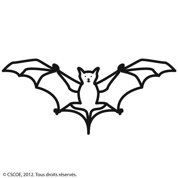 Chauve-souris_NB