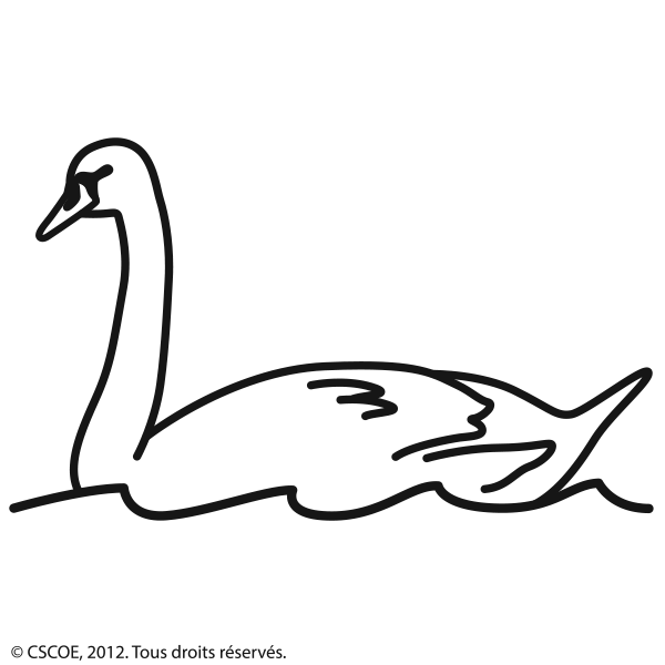 Cygne_NB