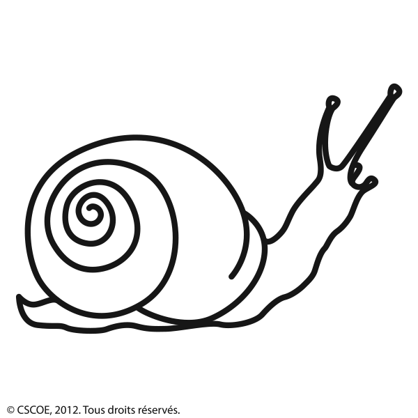 Escargot_NB