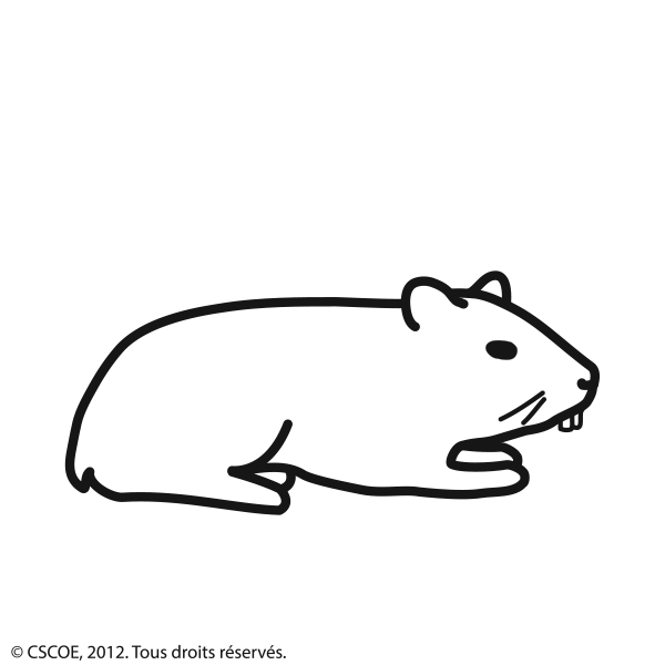 Hamster_NB