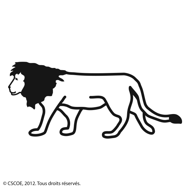 Lion_NB