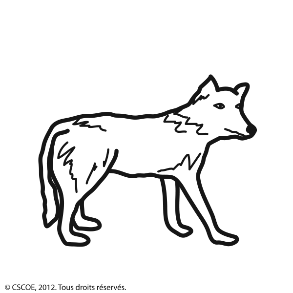 Loup_NB