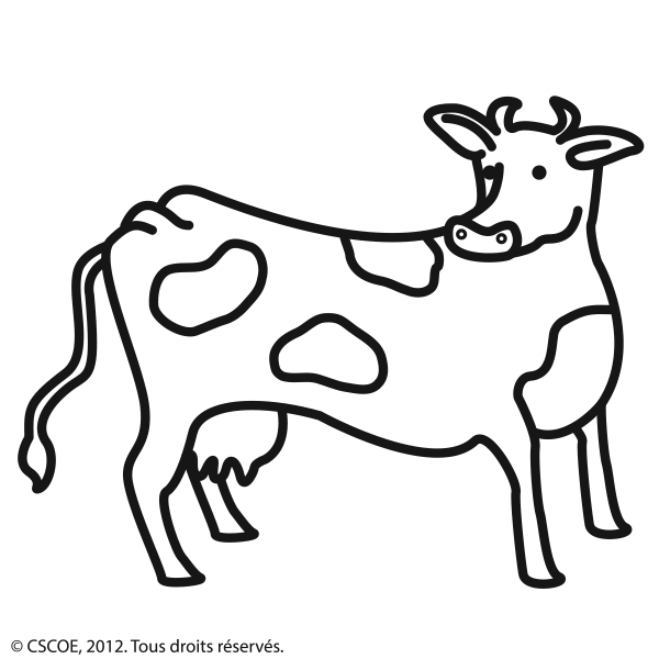 Vache_NB