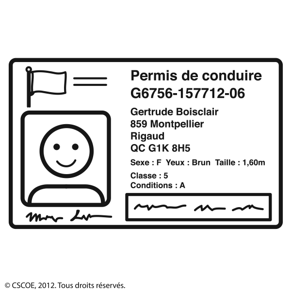 Permis de conduire_NB