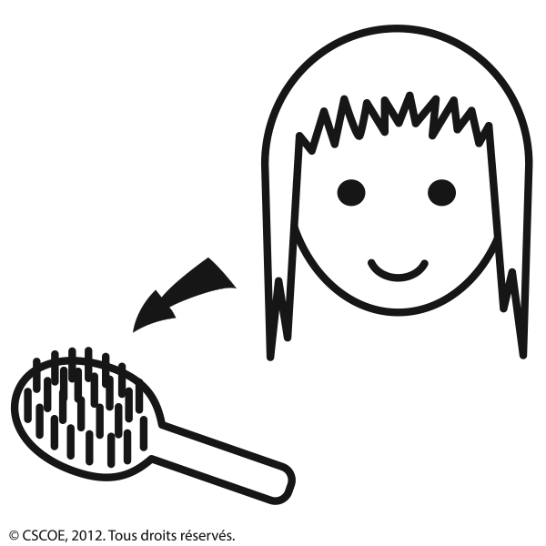 Brosse a cheveux_NB